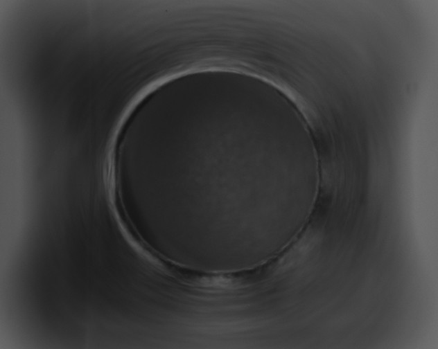 X0000099991515200806061533