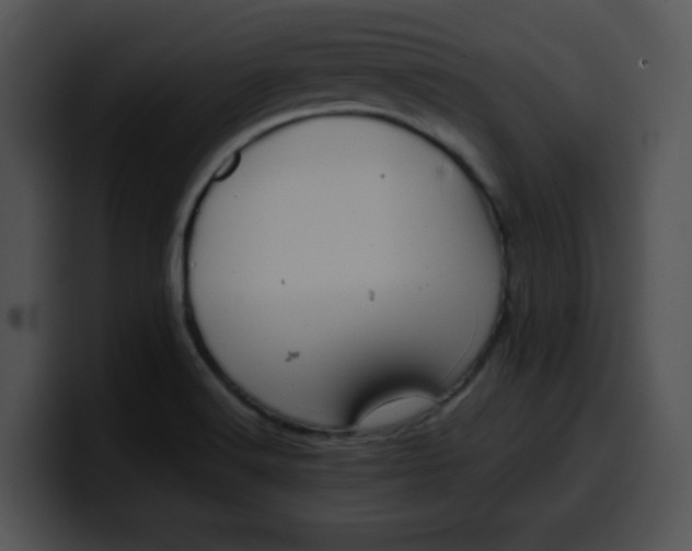 X0000099991516200806061534