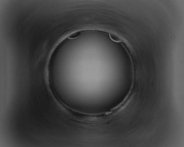 X0000099991517200806061534