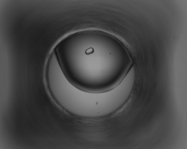 X0000099991518200806061534