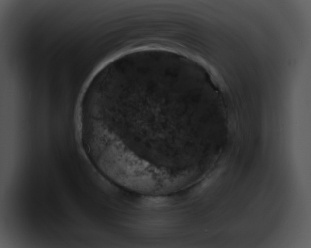 X0000099991522200806061534
