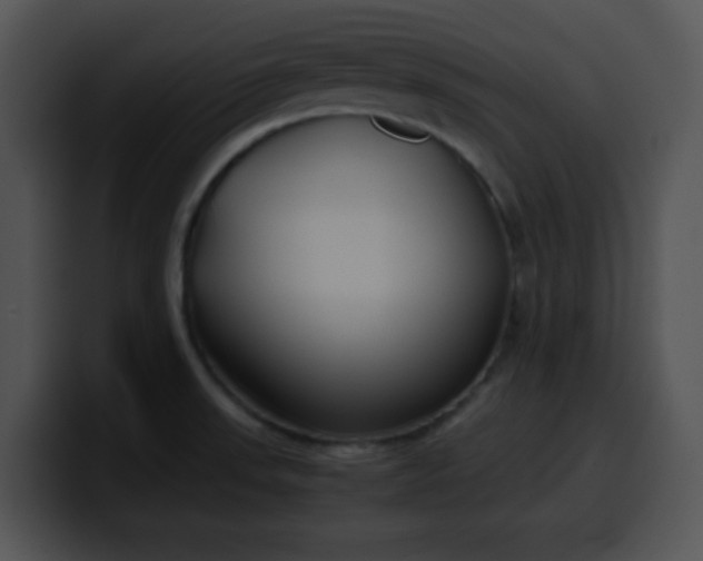 X0000099991523200806061534