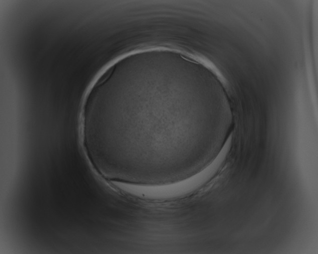 X0000099991524200806061534