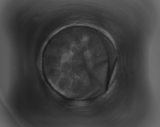 X0000099991525200806061534