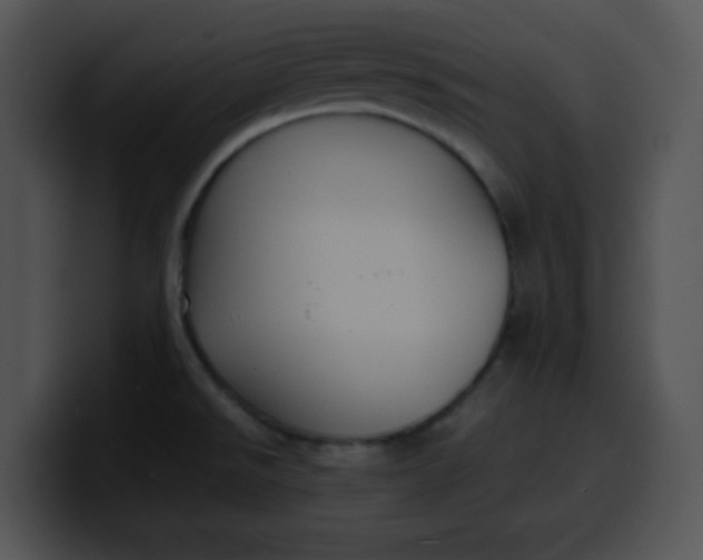 X0000099991526200806061534