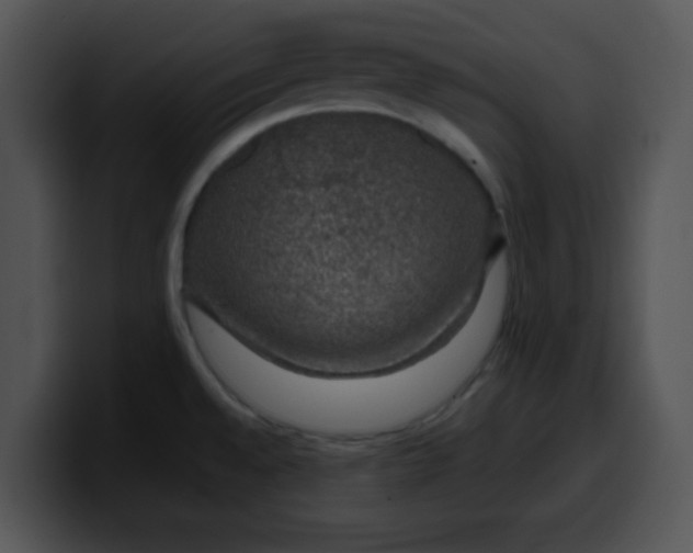 X0000099991528200806061534