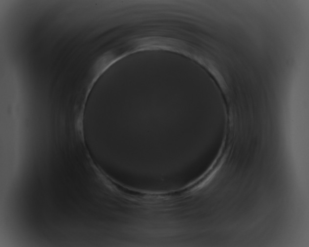 X0000099991529200806061534