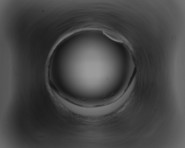 X0000099991530200806061534