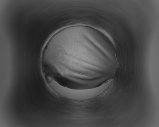 X0000099991532200806061534