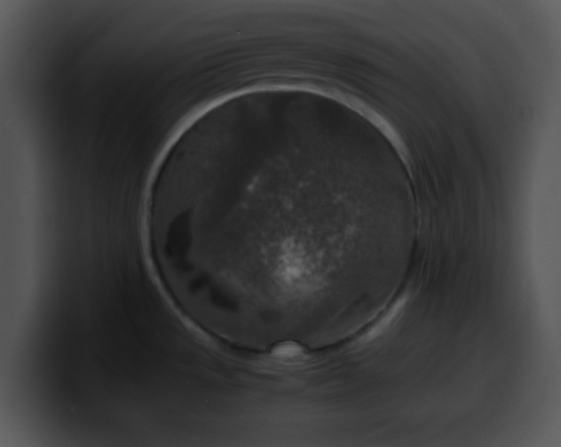 X0000099991533200806061534