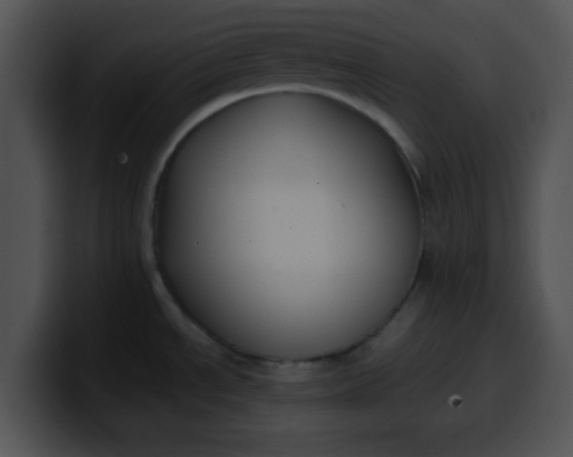 X0000099991534200806061534