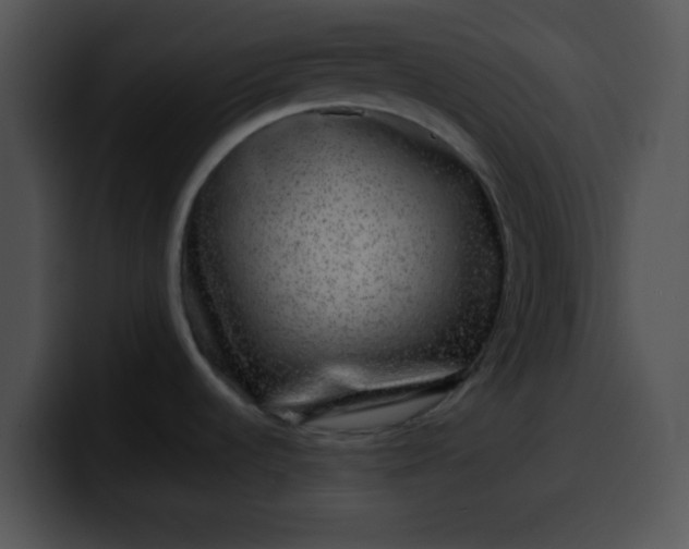X0000099991536200806061534