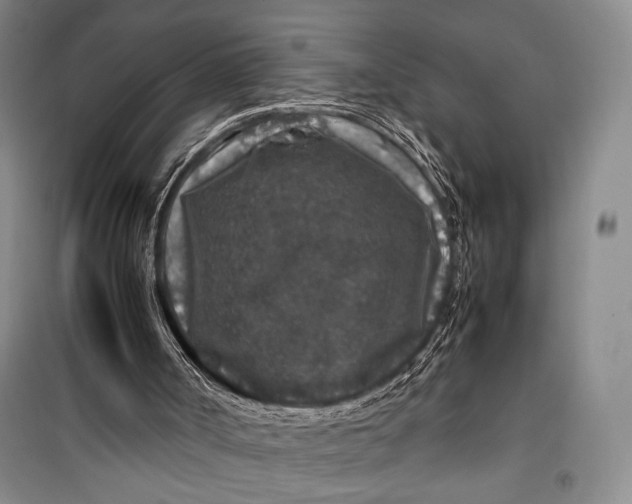 X0000099990002200806131445