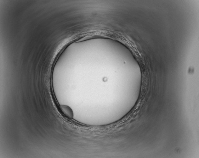 X0000099990003200806131445