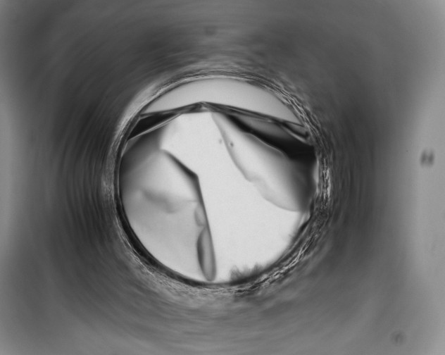 X0000099990004200806131445