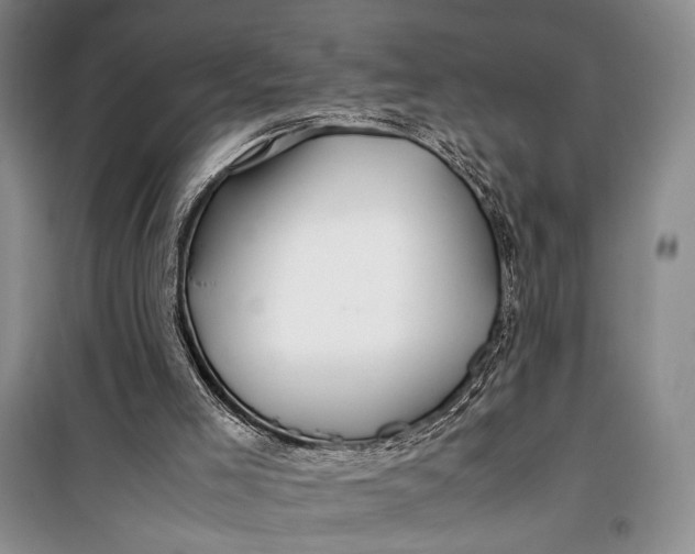 X0000099990005200806131445