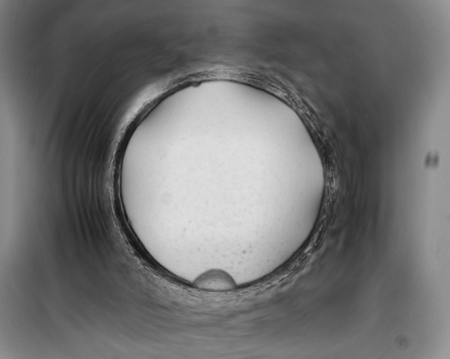 X0000099990006200806131445