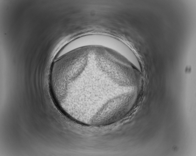 X0000099990007200806131445