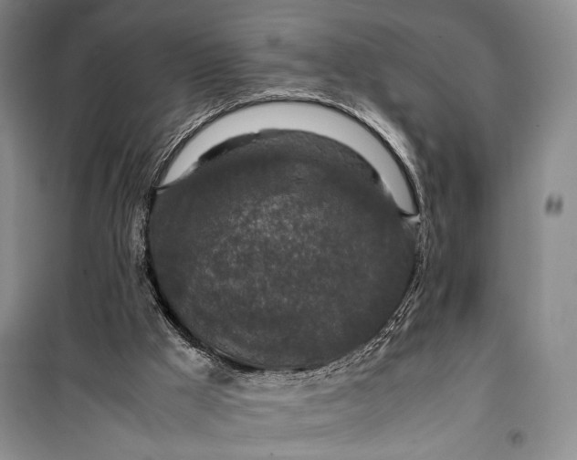 X0000099990009200806131445