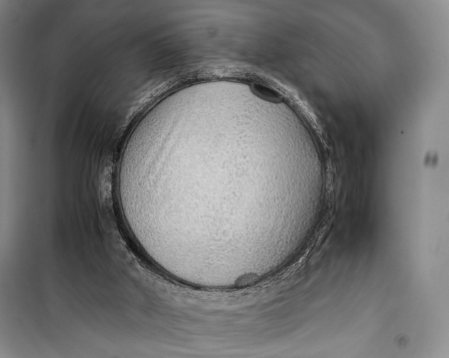 X0000099990010200806131445