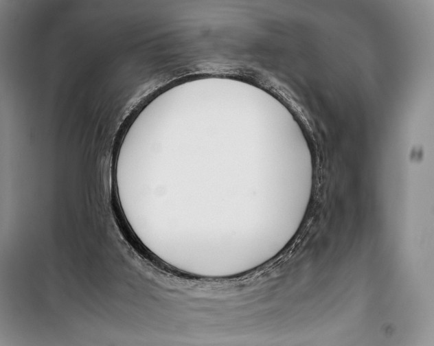 X0000099990011200806131445