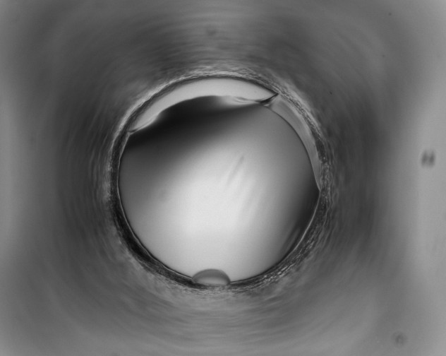 X0000099990012200806131445