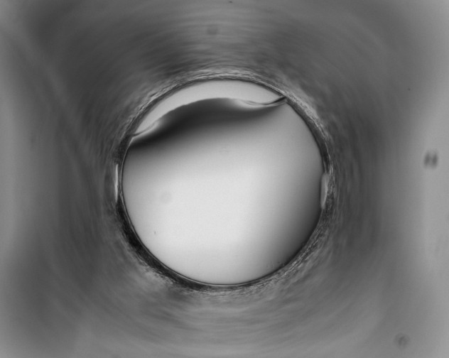 X0000099990013200806131445