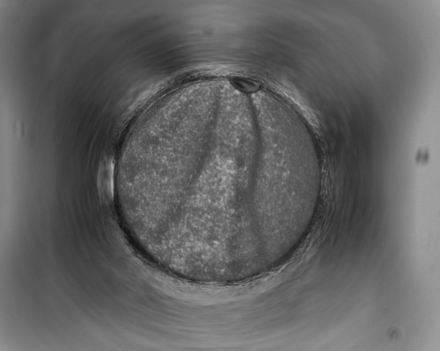 X0000099990014200806131445