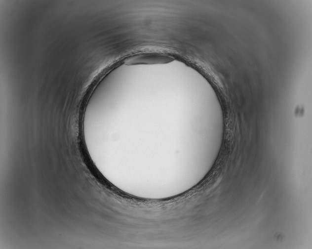 X0000099990015200806131445