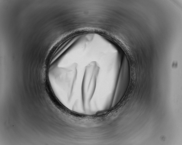 X0000099990016200806131445