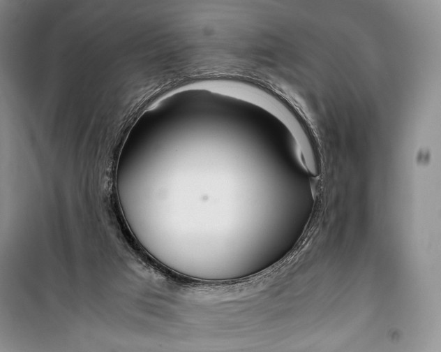 X0000099990017200806131445