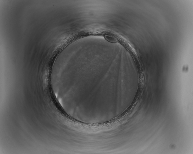 X0000099990018200806131445