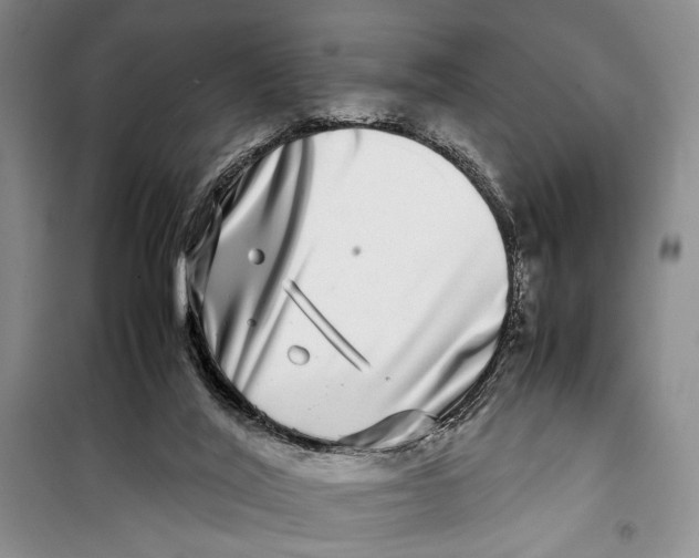 X0000099990020200806131445