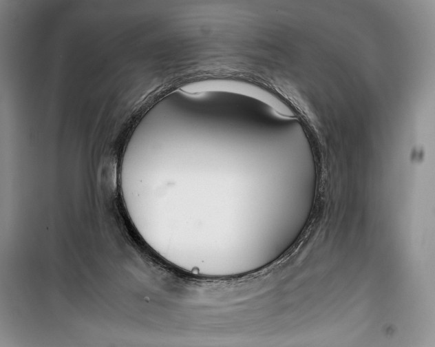 X0000099990021200806131445