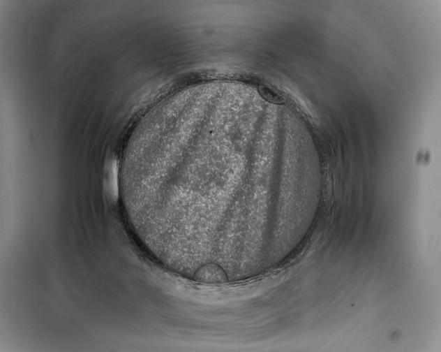 X0000099990022200806131445