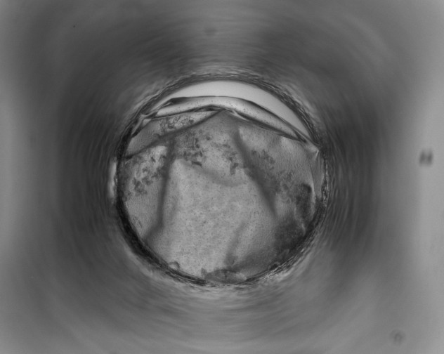 X0000099990024200806131445