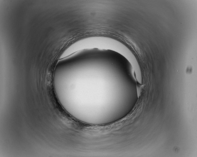 X0000099990025200806131445