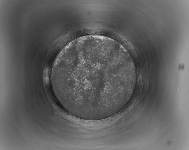 X0000099990026200806131445