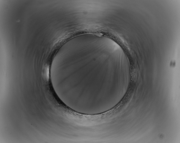 X0000099990027200806131445