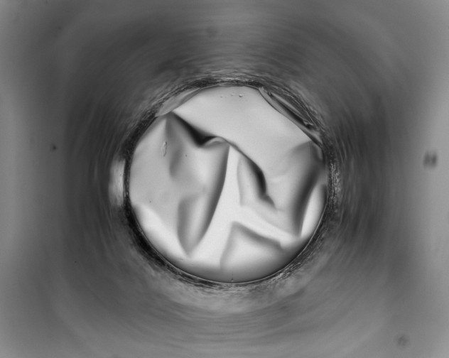 X0000099990028200806131445