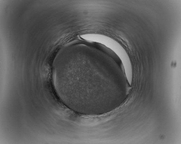 X0000099990029200806131445