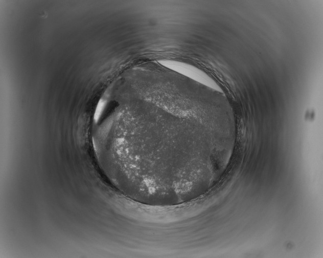 X0000099990030200806131445