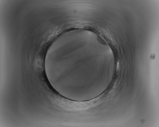 X0000099990031200806131445