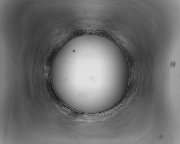 X0000099990033200806131445