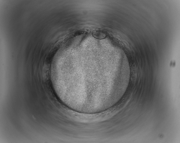 X0000099990034200806131445