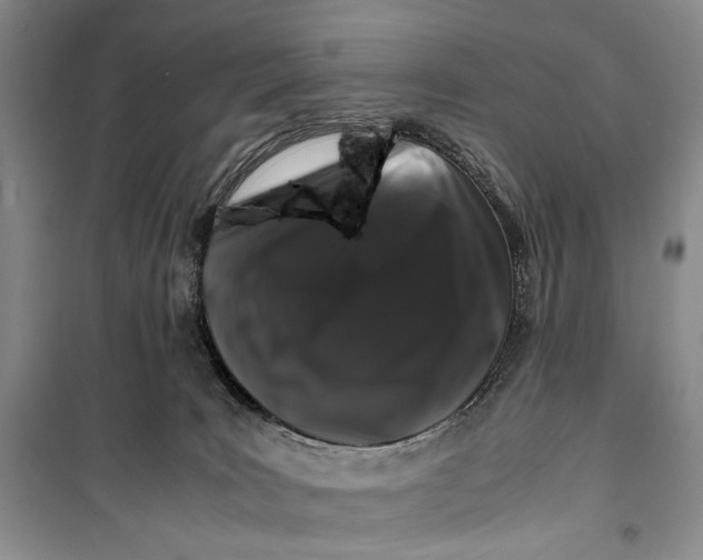 X0000099990035200806131445