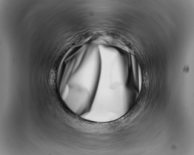 X0000099990036200806131445