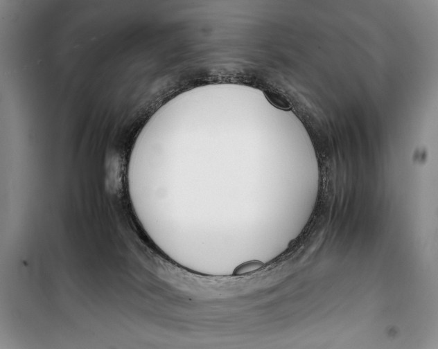 X0000099990038200806131445