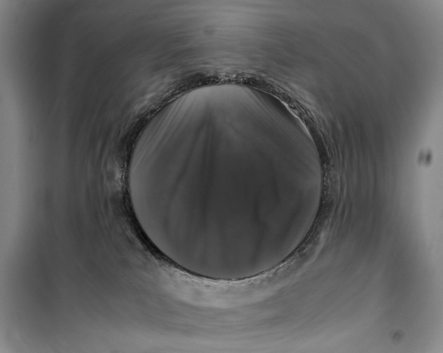 X0000099990039200806131445