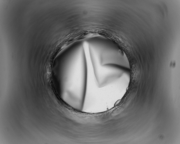 X0000099990040200806131445